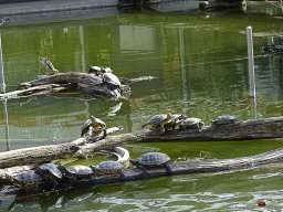 Tiergarten Schönbrunn am 23.03.2023